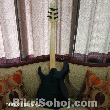 Electric Guitar